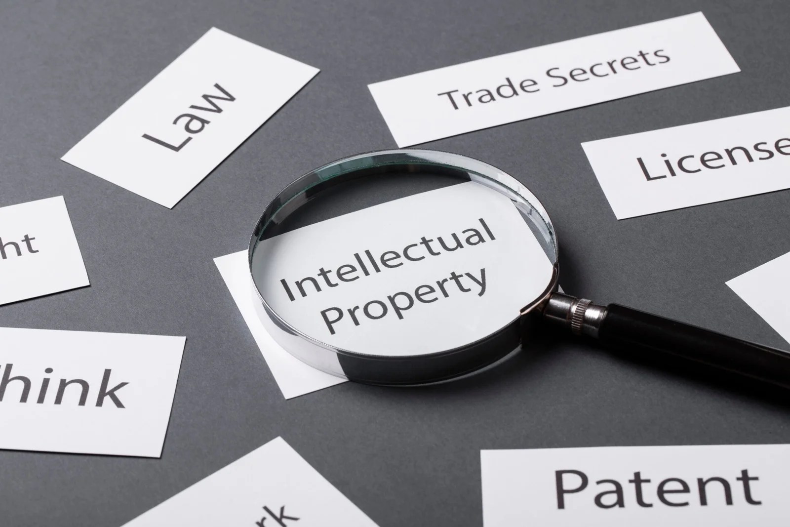 INTELLECTUAL PROPERTY RIGHTS